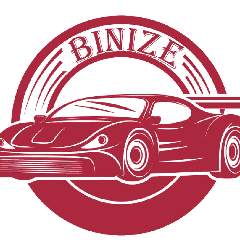 Welcome to Binize - Binize